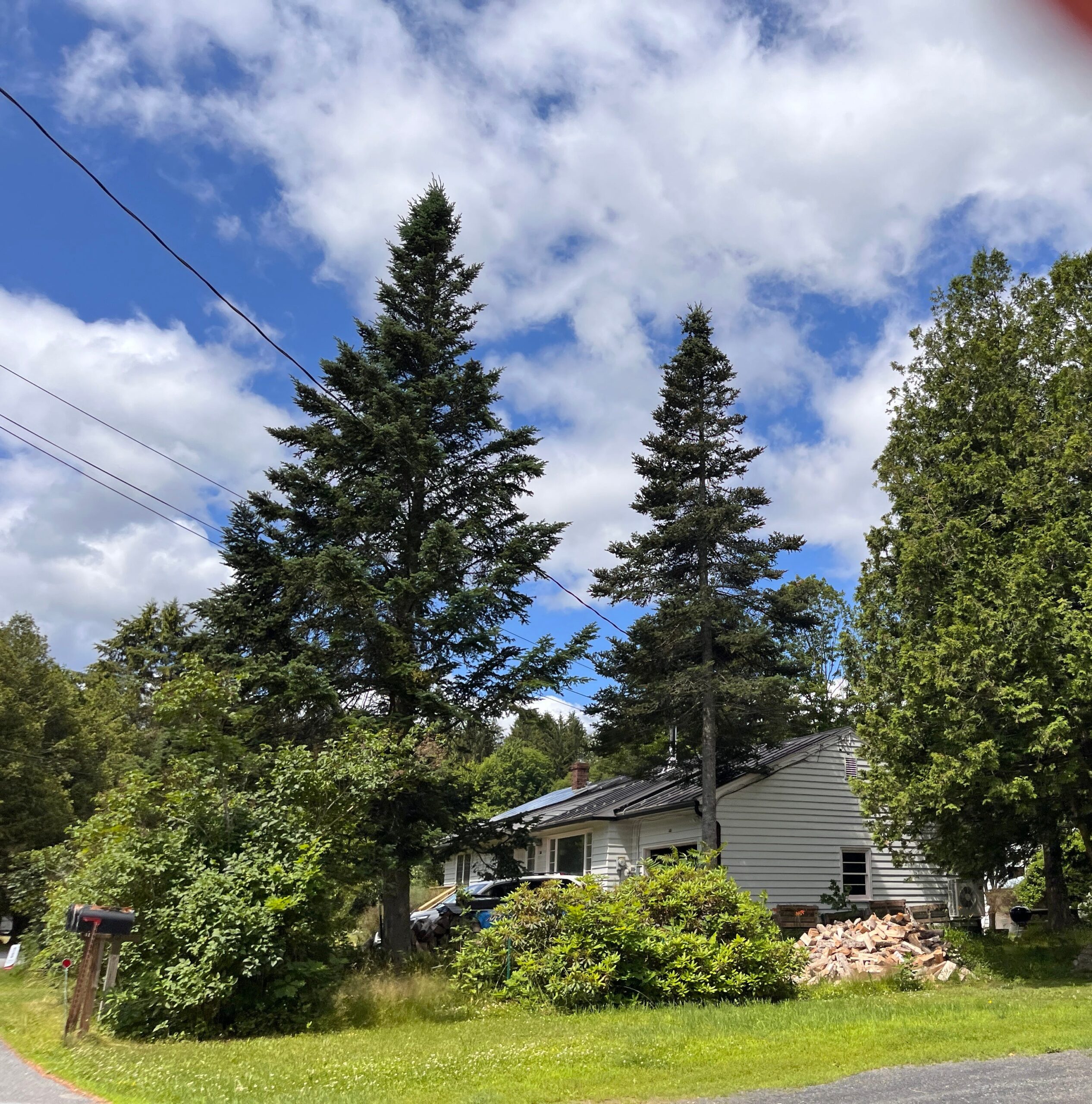 Our home on Terrace Place in Northfield, Vermont where we lived while my father was working at Norwich University (his alma mater) as the Assistant Professor of Military Science (PMS).
Part of the autobiography of Dr. Anthony J. Carbone, Son in the Shadow of a Green Beret Hero.