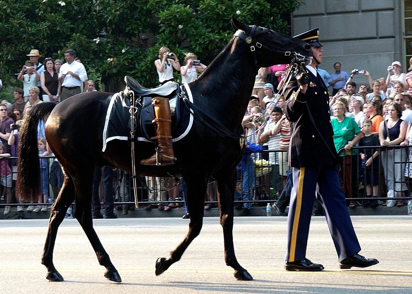 The Riderless Horse "Black Jack" led by a member of The Old Guard of the 3rd Infantry Division, during the funeral procession for the late President John F. Kennedy on November 25, 1963.
Dr. Carbone’s Autobiography: A Son in the Shadow of a Green Beret Hero