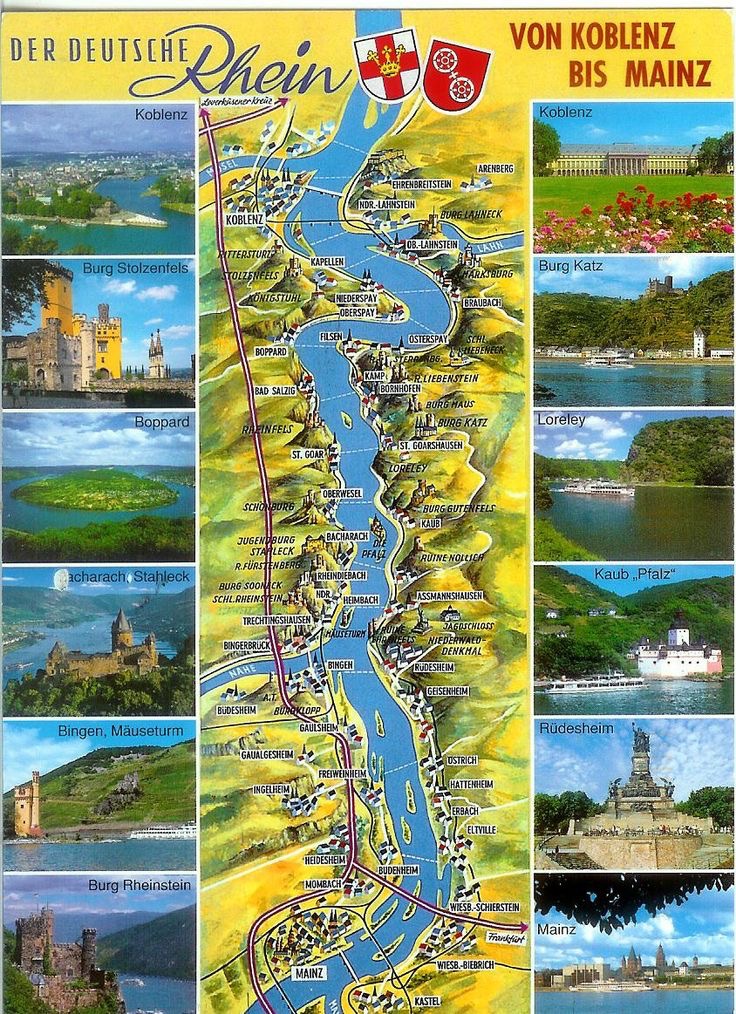 Postcard showing the Rhein River from Koblenz to Mainz with the famous castles along the way.  Biography of Dr. Anthony J. Carbone.