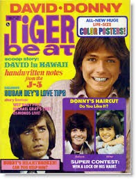 Tiger Beat magazine for the 1970s with Donny Osmond and David Cassidy on the cover.  Biography of Dr. Anthony J. Carbone.