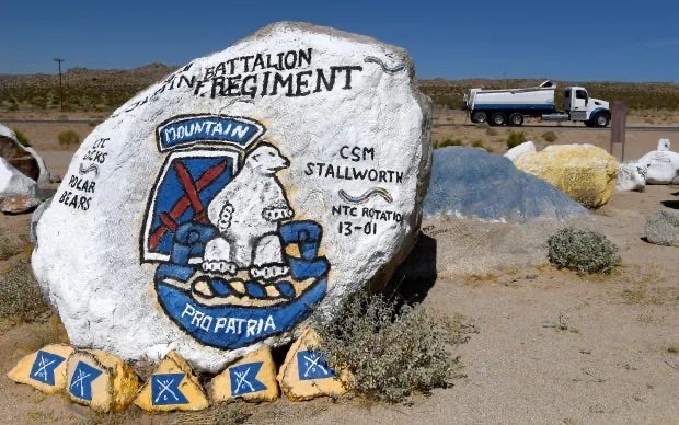 Painted rock for the 6th Battalion, 31st Infantry Regiment known as the "Polar Bears" with the regimental logo "Pro Patria".  Biography of Dr. Anthony J. Carbone.