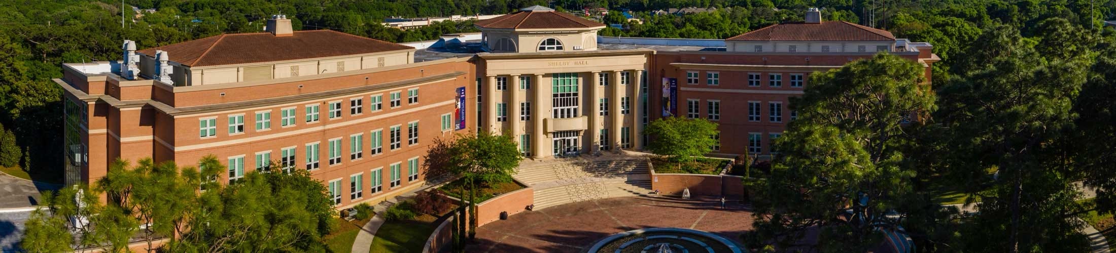 Univeristy of South Alabama (USA), Mobile, Alabama.
Biography of Dr. Anthony J. Carbone