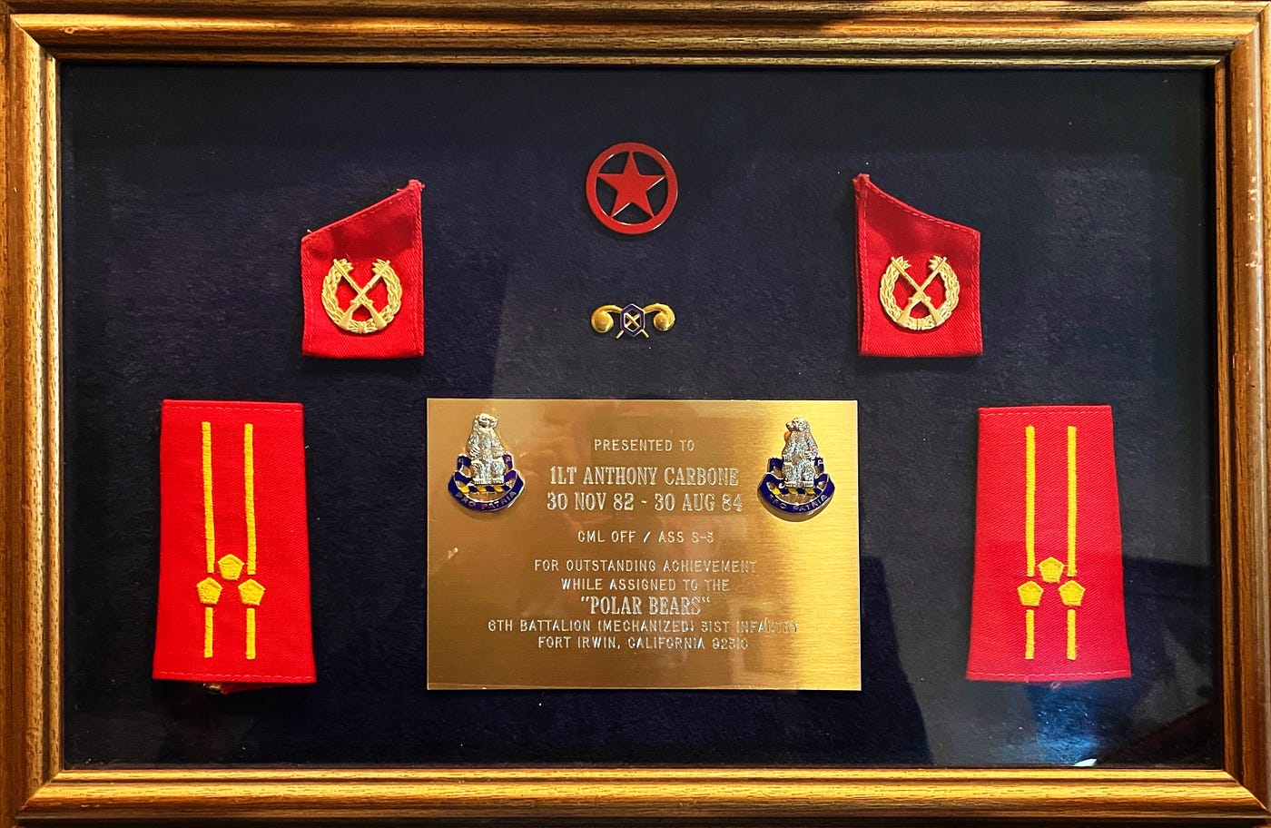 Departure Gift from Officers of 6th Battalion 31st Infantry (Polar Bears) Opposing Forces.  Biography of Dr. Anthony J. Carbone.